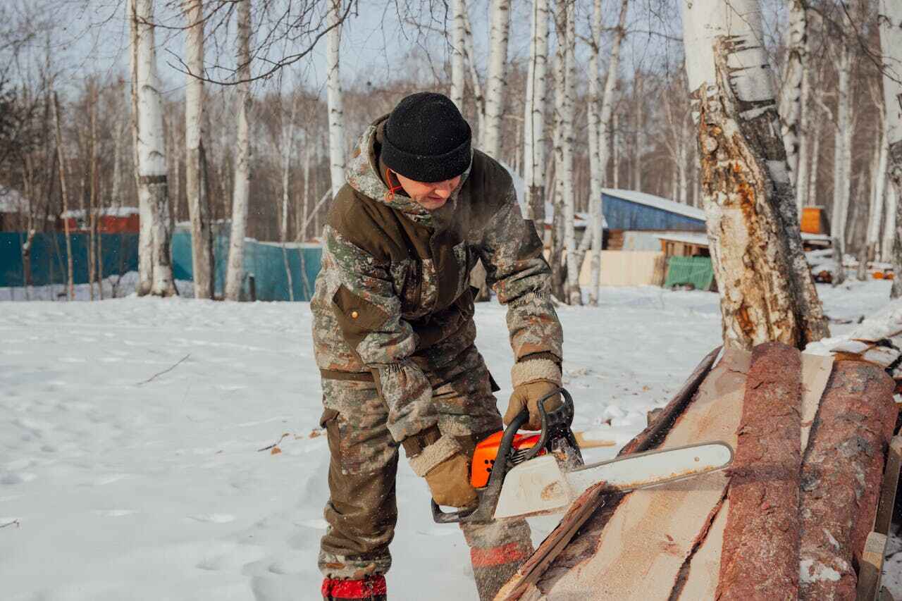 Thompsons Station, TN Tree Service Company